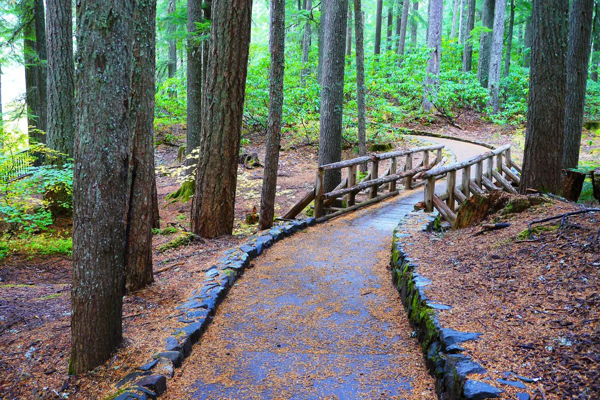 Wheelchair Accessible Paths on Lugano Lakeside Promenade