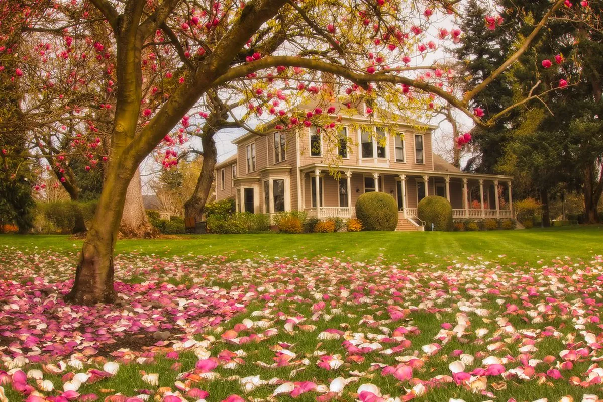 Best Parks for Children on Montreux Walks