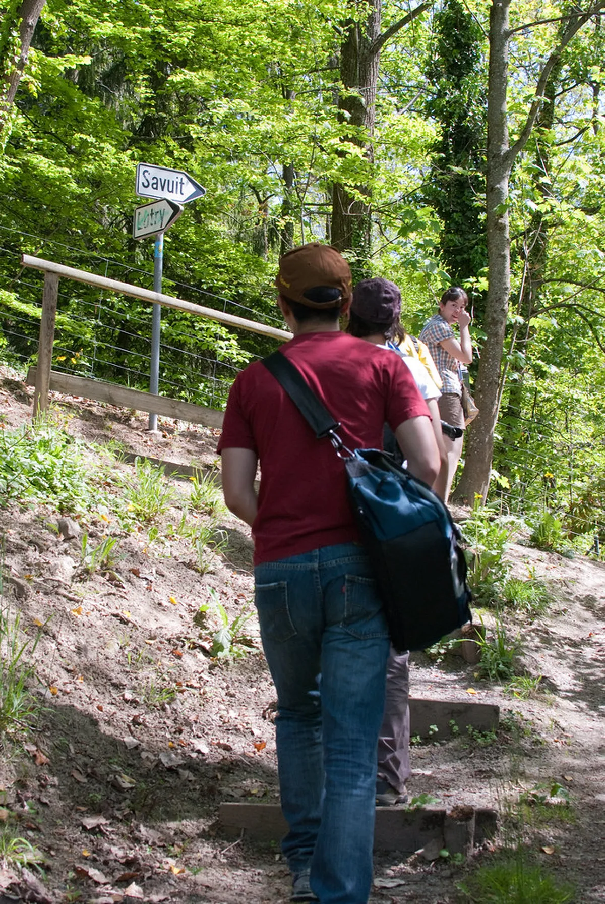 Guide to Lavaux Vineyard Walking Trails