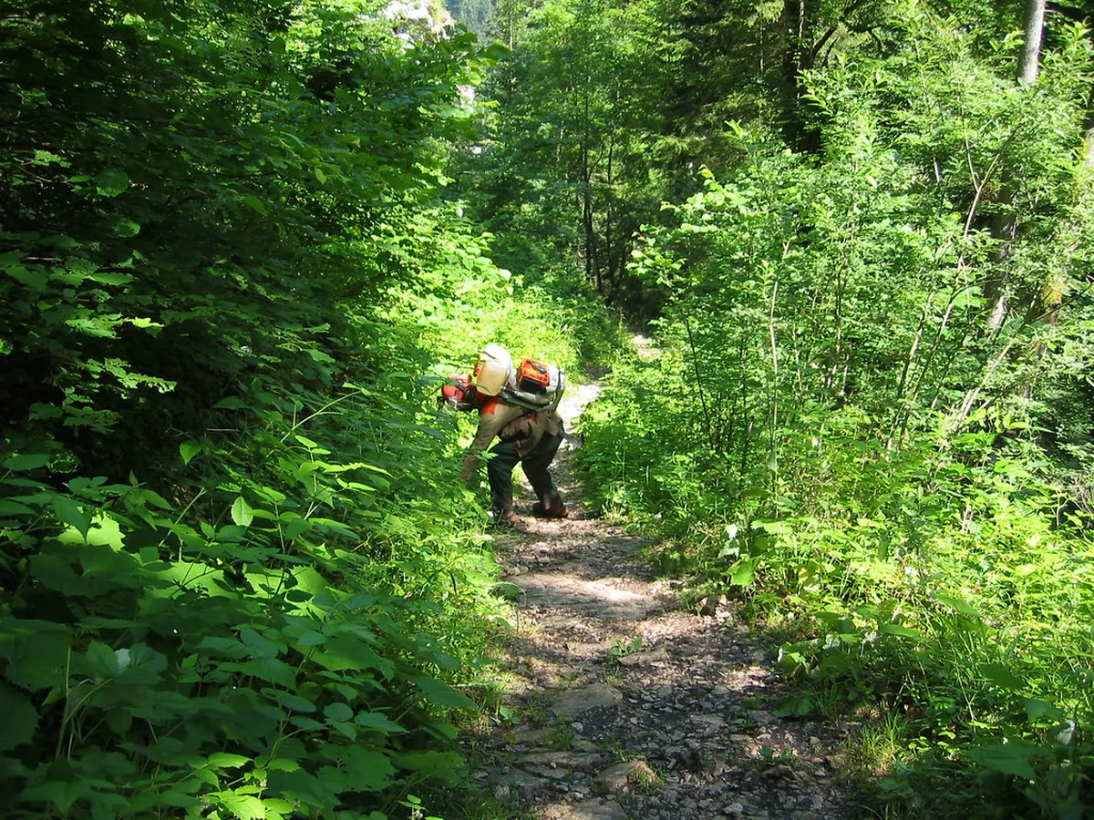 Best Creux du Van Hiking Trails: 2026 Guide