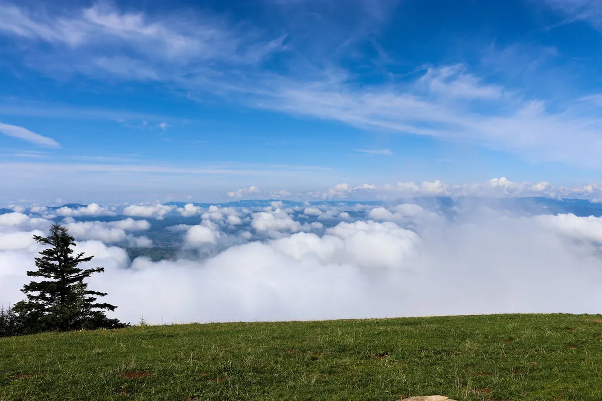 Family Activities Near Chaumont Panoramic Walking Trail