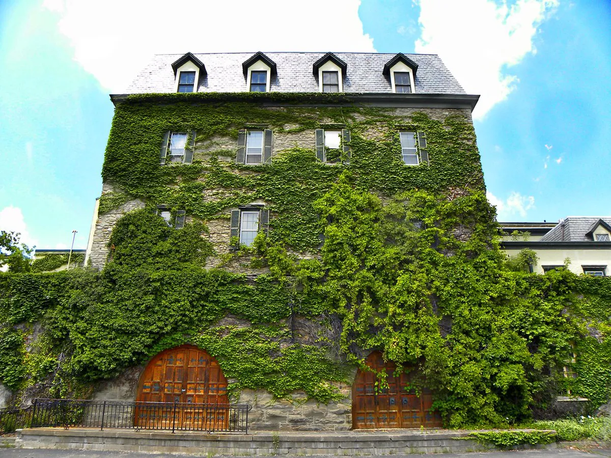 Local Wine Cellar Tours Neuchâtel Vineyard Walks 2026