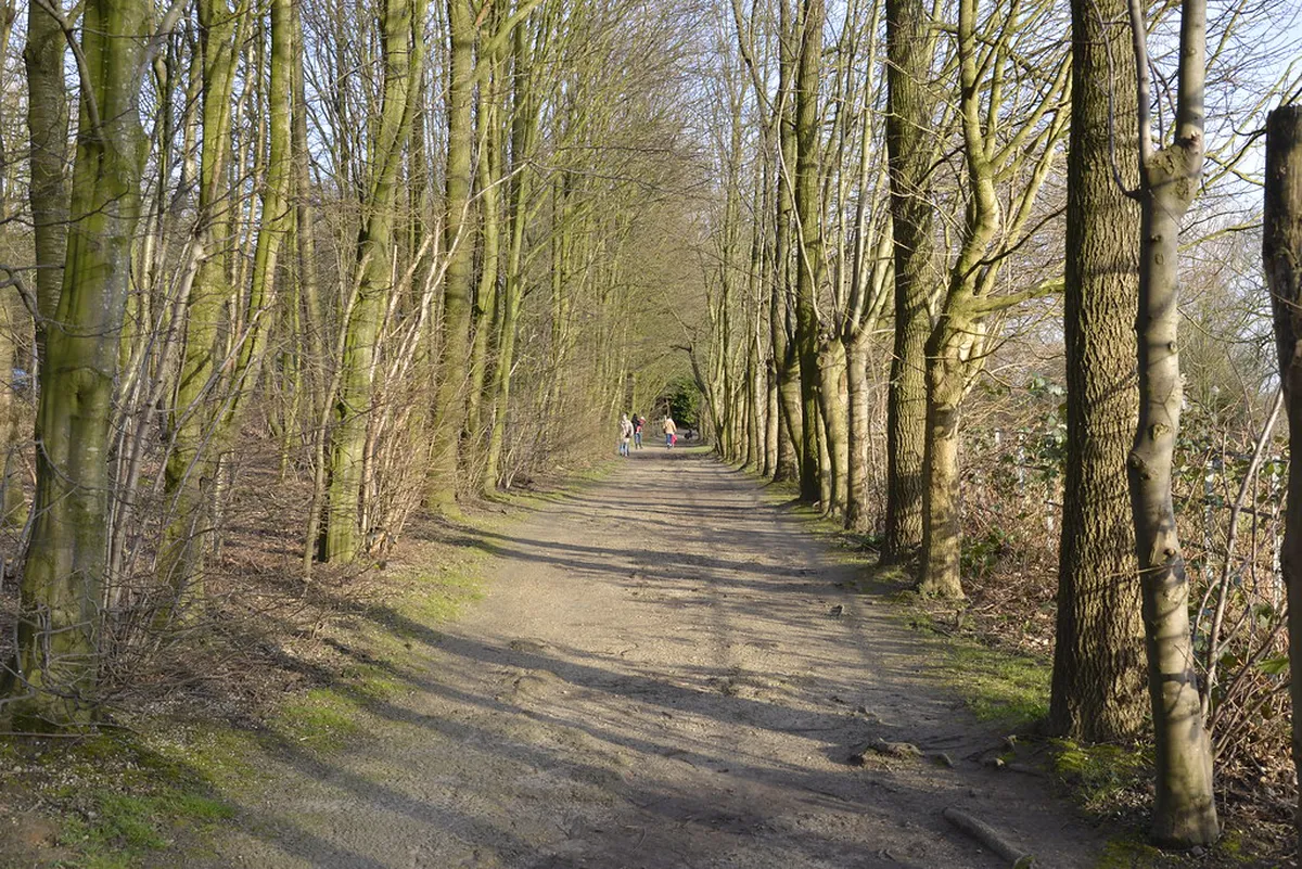 Best Winter Walking Trails Neuchâtel Guide 2026