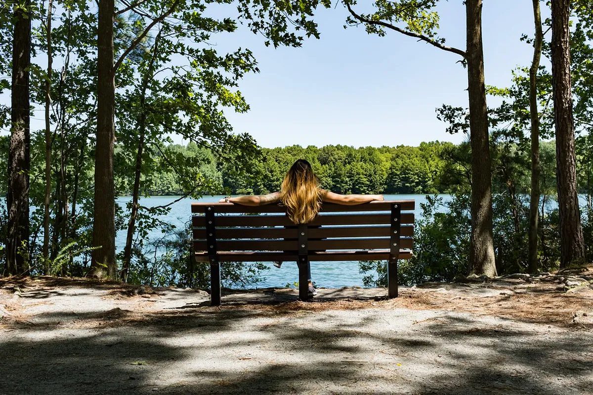 Best Benches for Lake Views in Vevey: 2026 Guide
