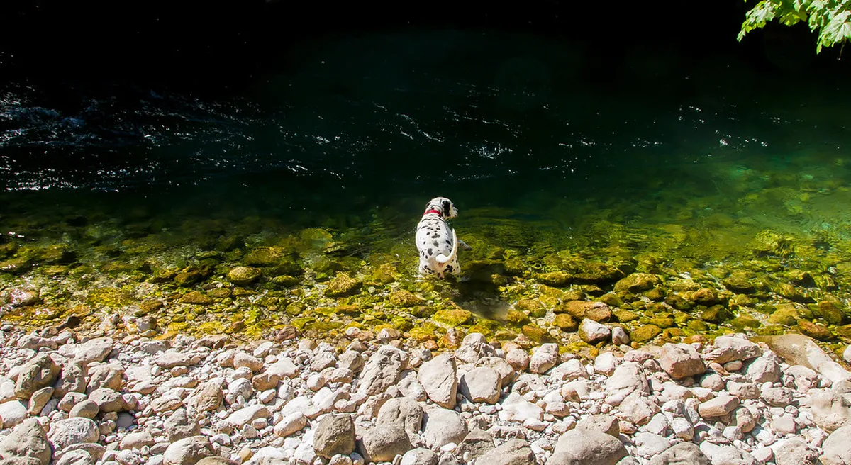 Quietest Times for Walking Vevey Old Town