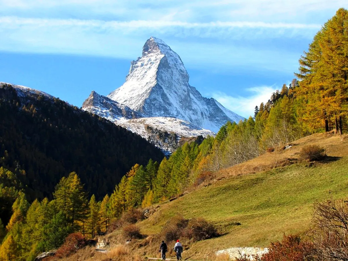 Zermatt Forest Walks and Nature: 2026 Guide