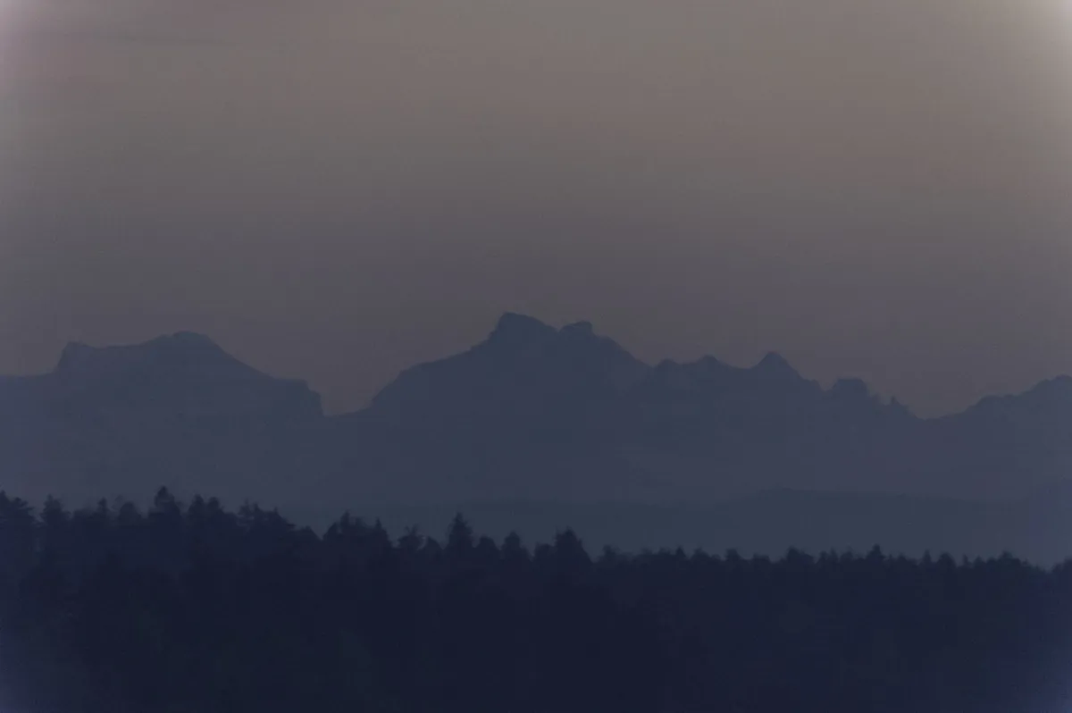 Adlisberg Forest Walking Paths in Zürich Guide