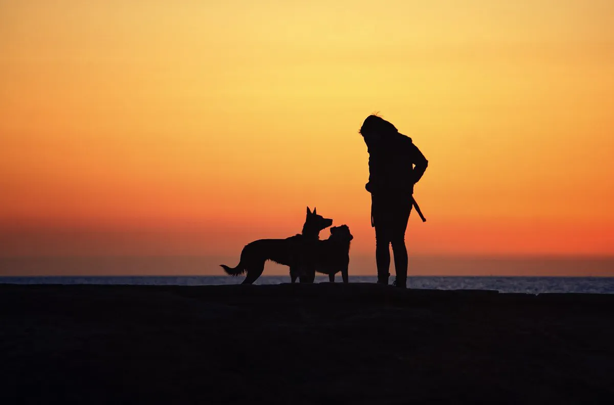 Best Golden Hour Photo Spots in Zürich