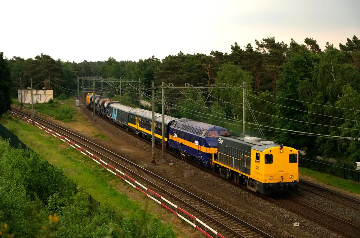 Dolder Forest Walk Difficulty Level Guide 2026