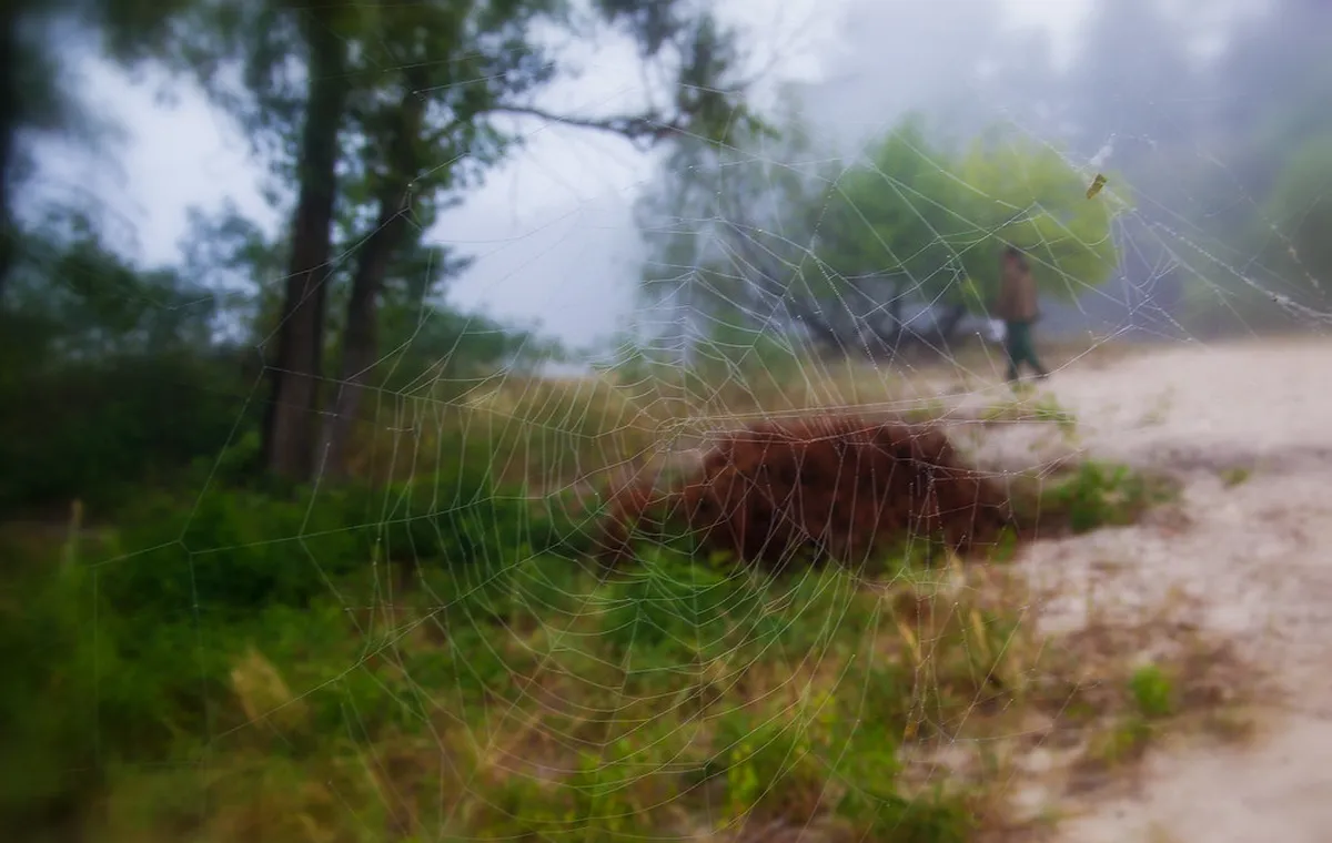 Walking Through Niederdorf District in Zürich Guide